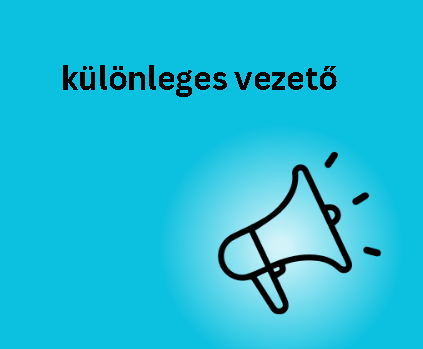 különleges vezető